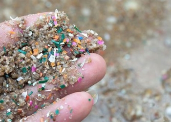 scientists create safe plastic from plant material 133509