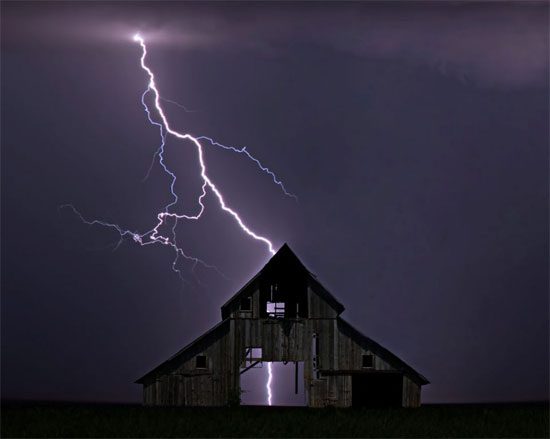 Exploring the Mystery of Lightning Strike Survivors