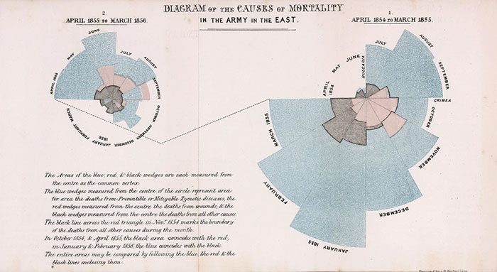 Nightingale Diagram