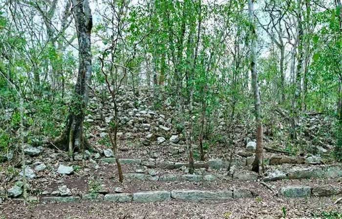 Ruins of a structure with stone steps found during direct surveys