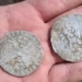 the 300 year old coin was discovered hidden by a swindler from poland 134594