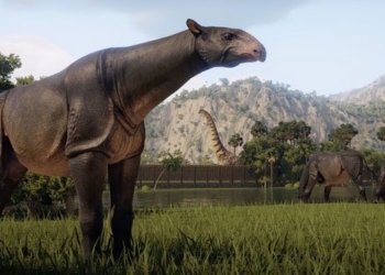 the animal with the biggest body ever is paraceratherium how big did it really get 134545