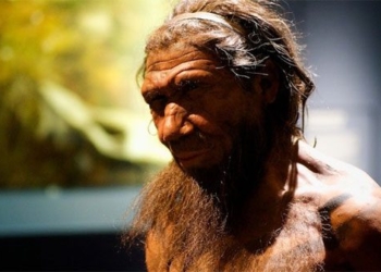 the appearance of humans 200000 years ago different species 127890