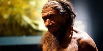 the appearance of humans 200000 years ago different species 127890