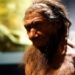 the appearance of humans 200000 years ago different species 127890