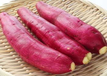 the remarkable benefits of eating sweet potatoes you should know to avoid health issues 101660