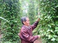 the story of a farmer scientist 3860