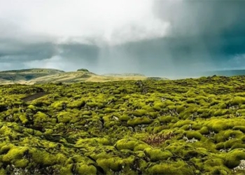 the unique stone in iceland 135196