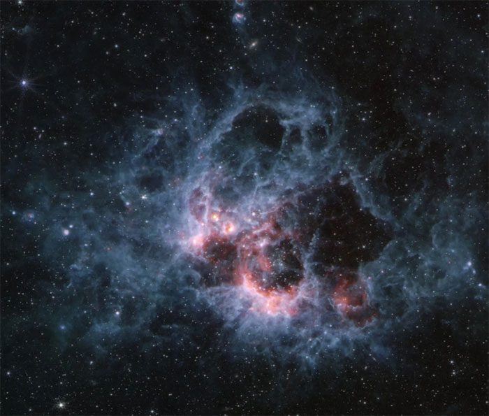 The Dust Layer of NGC 604