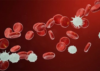 things you need to know about blood cancer 62720