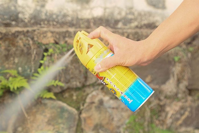 Insect spray