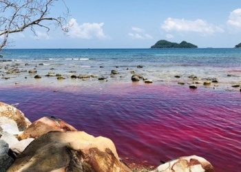 tide levels appear at phu quoc beach 134929