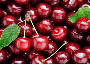 tips for eating cherries without affecting health 97789