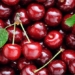 tips for eating cherries without affecting health 97789