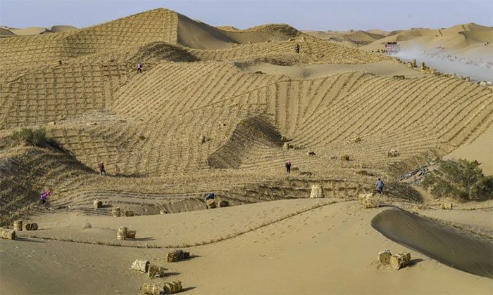 Workers laying grass mesh along the new highway through the Taklimakan Desert.