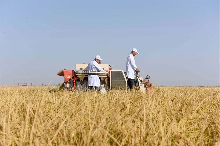China has less arable land compared to its population ratio.