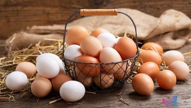 The nutrient content in different egg products shows very little difference.