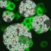 using nano particles to target cancer cells 3833