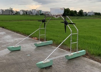 vietnamese professor makes automatic seed sowing machine for rice 134546