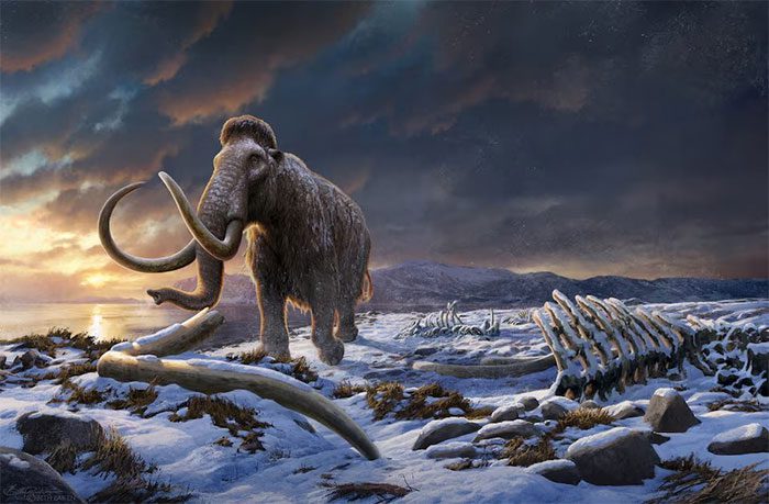 Illustration of the last woolly mammoth on Wrangel Island