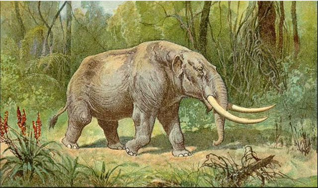 Although the Mastodon resembles the woolly mammoth, they are not of the same species.