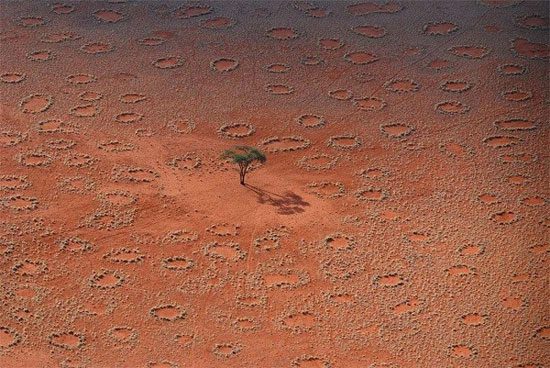 Fairy circles appearing on the arid grasslands of the Namib Desert.