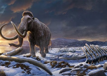 what caused the woolly mammoth to go extinct on earth 135230