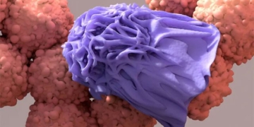 what happens to cancer cells after death 135107