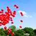 what will happen when the balloon flies into the sky 134644