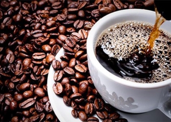 why coffee is the best drink on earth 44868