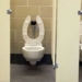 why is it hard to flush public toilets in the us 134758