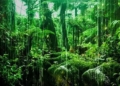 why the equatorial region receives the most sunlight but is not the hottest place 134183