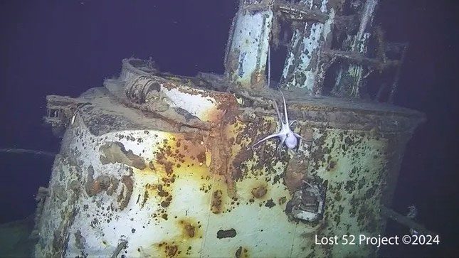 An octopus on the conning tower of the wreck of the American submarine USS Harder