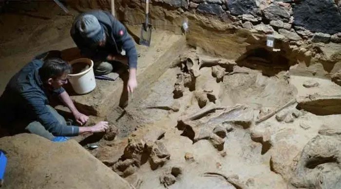 Some bone fragments still half-buried in sediment