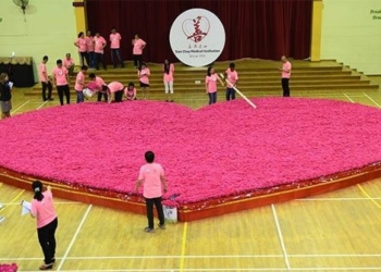 10 interesting records about valentine day 104763