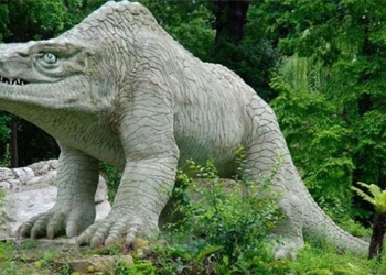 200 years of research on dinosaurs still holds many unanswered secrets 132055