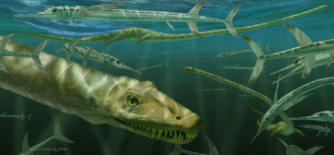 Illustration of the "Chinese dragon" swimming with several ancient fish species.