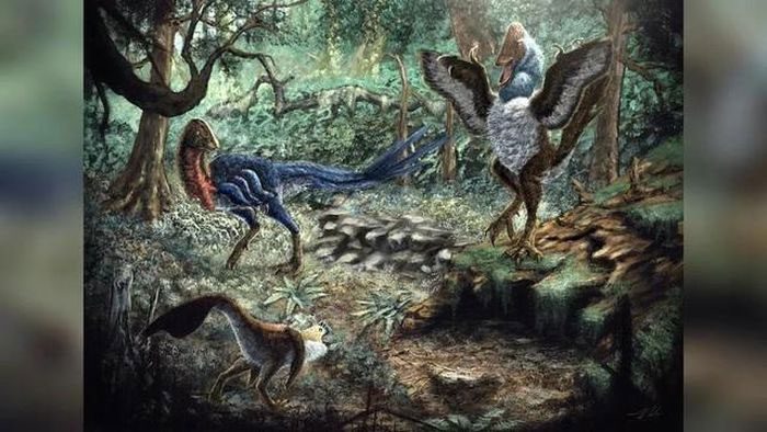 The creature recently identified by an American researcher from fossils sold online