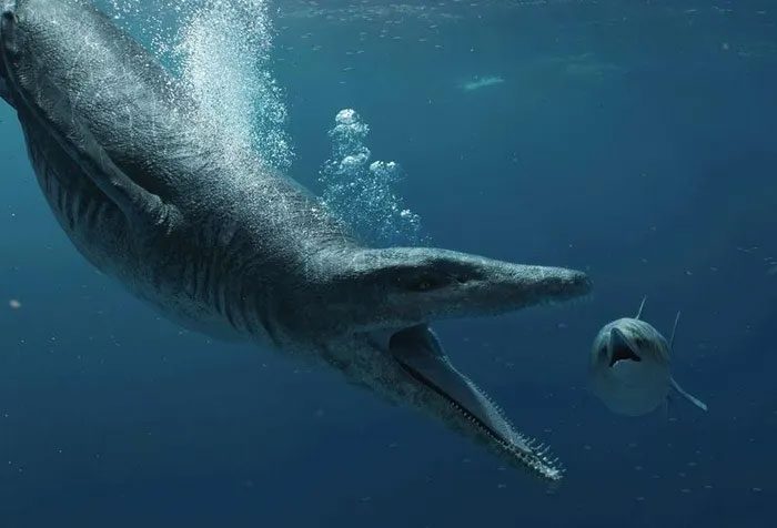 Illustration of the Pliosaur species.