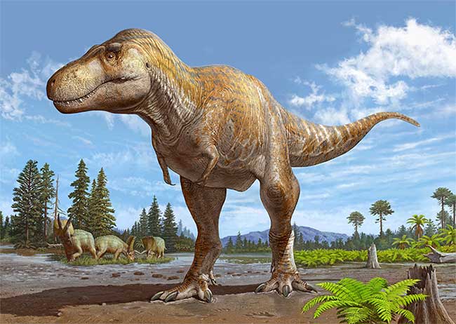 A new name has been given to the "King of Monsters" fossil