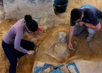 apartment building discovery of an amazing treasure with 100 000 artifacts 132292