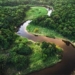 archaeologists find an ancient civilization under the amazon rainforest 132651