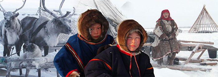 The Nenets lead a nomadic lifestyle, herding reindeer across the tundra.