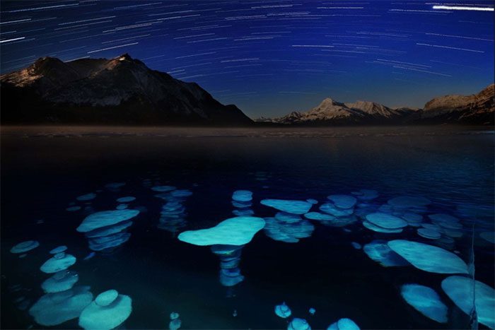 When exposed to colder temperatures on the lake surface, the bubbles freeze into glowing pillars