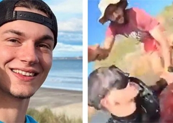boy shares video moment gets caught by a cat 131605