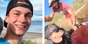 boy shares video moment gets caught by a cat 131605