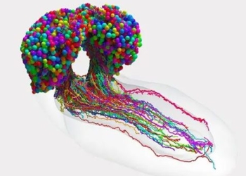 breakthroughs in medicine in 2023 131658