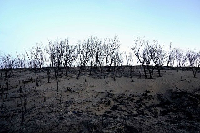 The devastation left in the wake of the fire has shocked many.