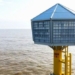 compensation for artificial bird death when building wind power farm 132956