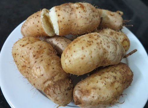 Taro